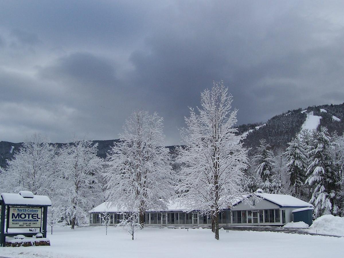 North Colony Motel And Cottages Bartlett Luaran gambar
